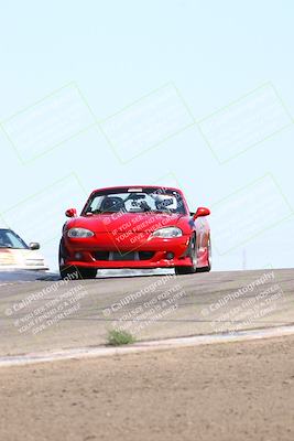 media/Jul-26-2025-Speed Ventures (Sat) [[fe569e6cf0]]/Yellow Group/Grapevine/